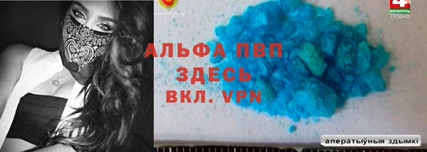 СК Грязовец