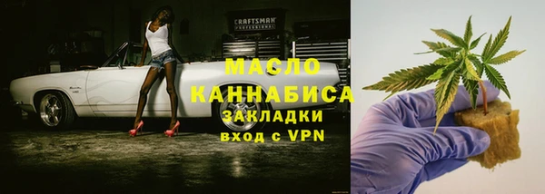 гидра Краснослободск