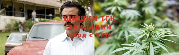 гидра Краснослободск