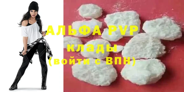 гидра Краснослободск