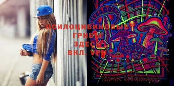 мяу мяу мука Краснотурьинск