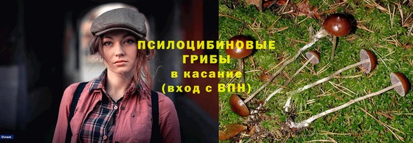 мяу мяу мука Краснотурьинск