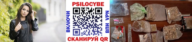 наркотики Кропоткин Галлюциногенные грибы Psilocybe